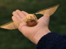 Wyślij polską drużynę quidditcha na Puchar Europy Wyślij polską drużynę quidditcha na Puchar Europy